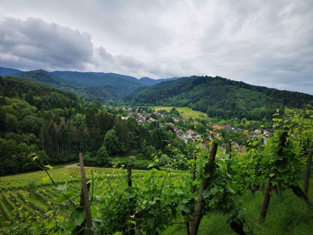 Casa Luna Döttingen Kültér fotó